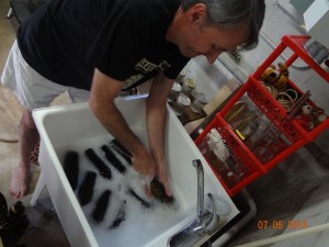 img of washing bottles