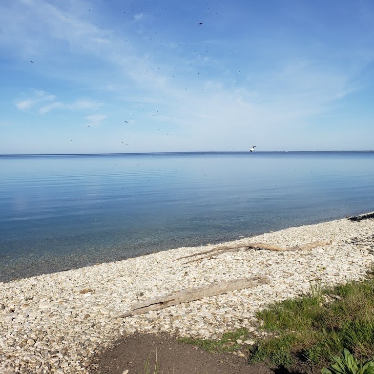 Slag Beach, just south of the ghost town of Fayette Michigan. There's a white limestone beach in the foreground with bits of driftwood here and there. The quiet waters of the bay stretch out to the horizon beyond. 