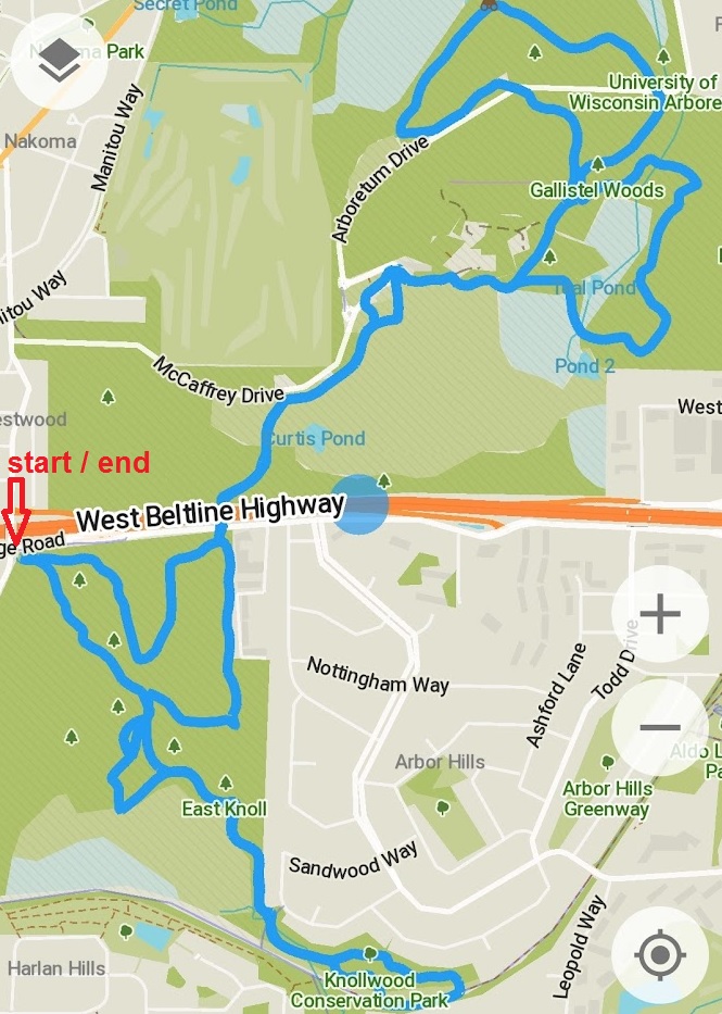 image of the route I walked through the arboretum today
