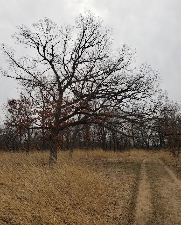 morning walk 04-13-2025