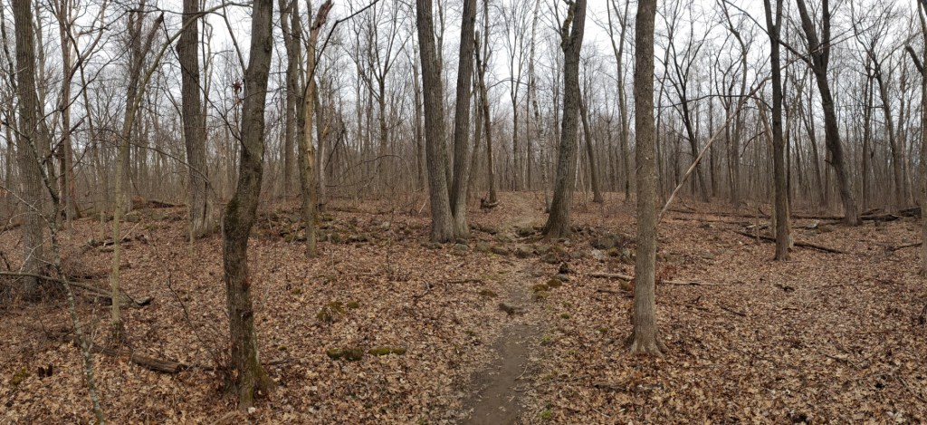 IAT Sauk Point Segment