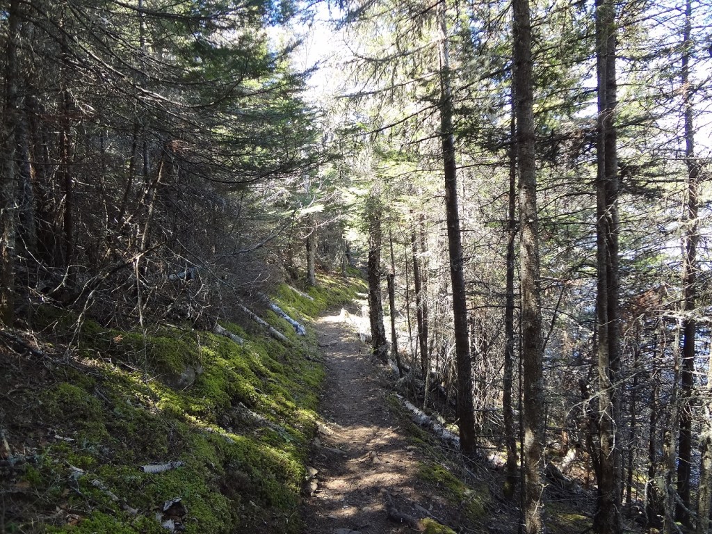 photo of the Tobin Harbor trail, Isle Royale National Park