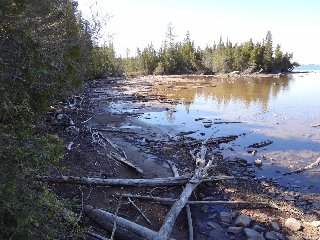 photo of driftwood washed up on a sandy shore in Lane Cove, Isle Royale National Park MI