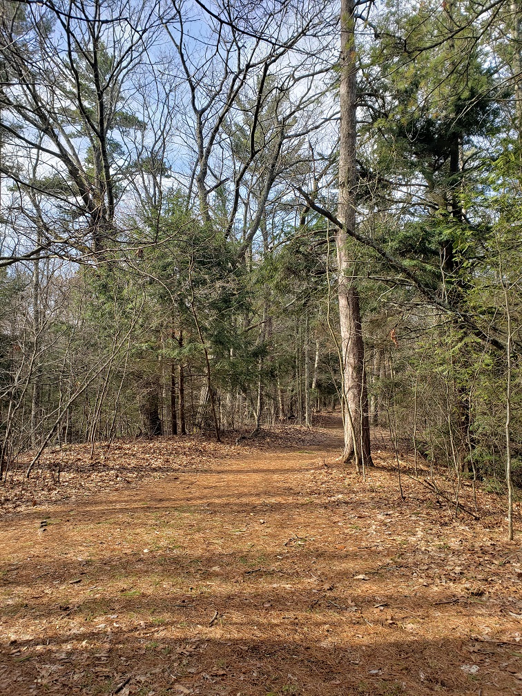 photo of a typical hiking/bicycling path through Newport State Park, Wisconsin