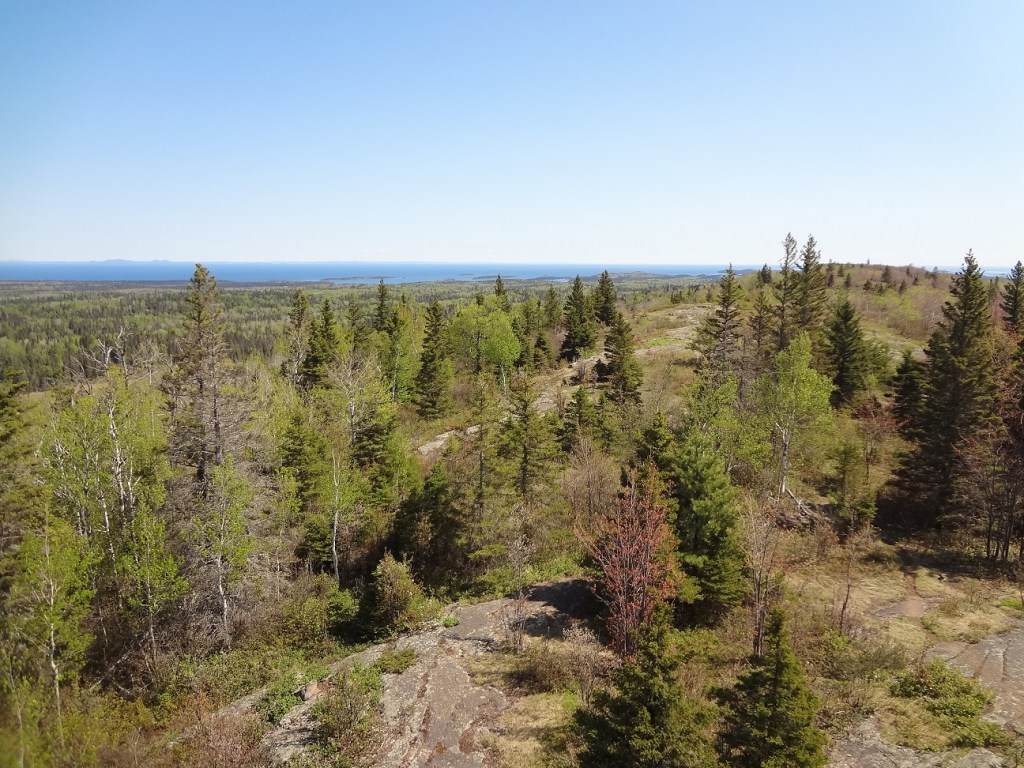 photo of the Greenstone Ridge Trail, Isle Royale National Park. the trail is mostly along bare rock with few shade trees. There is some low scrubby growth