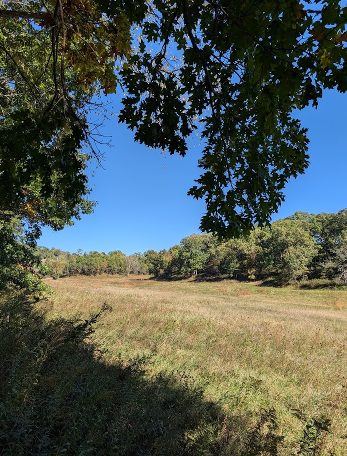 prairie grass grows in the meadow between two eskers covered in tall trees