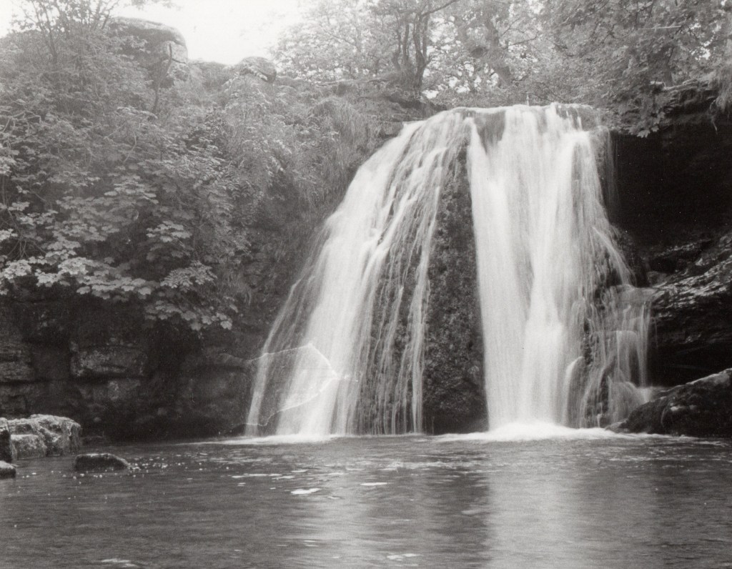 a waterfall tumbles over a rocky wall into a shallow pool; to the left of the falls the rocky wall is covered in foliage