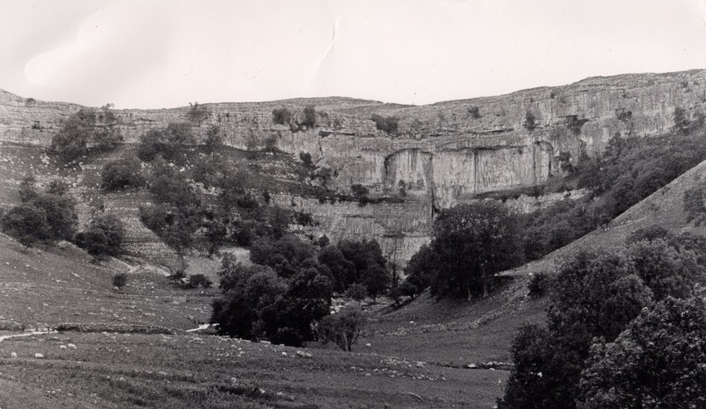 a wall of limestone in the background; a gently-sloping valley covered in short grass in the foreground; fully-leafed trees dot the landscape