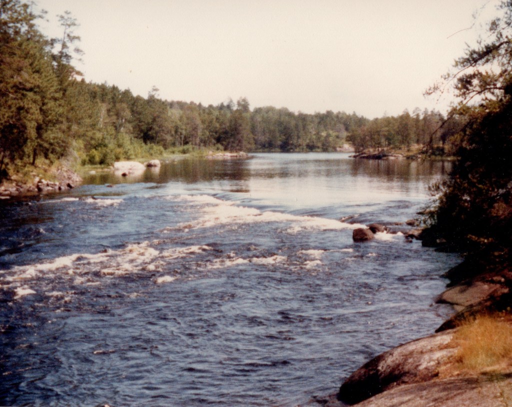 a narrow river flows over a row of rocks across the stream; green evergreen trees crowd the shoreline