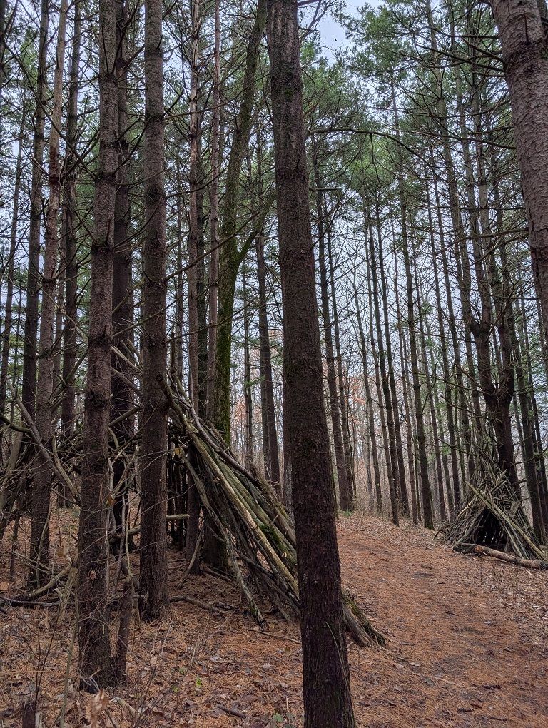 straight tree branches piled up in an A-frame