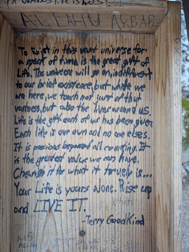 A quote from author Terry Goodkind: "To exist in this vase universe for a speck of time is the great gift of Life. The universe will go on, indifferent to our brief existence, but while we are here, we touch not just of that vastness, but also the lives around us. Life is the gift each of us has been given. Each life is our own and no one else's. It is precious beyond all counting. It is the greatest value we can have. Cherish it for what it truly is. Your life is yours alone. Rise up and LIVE IT."