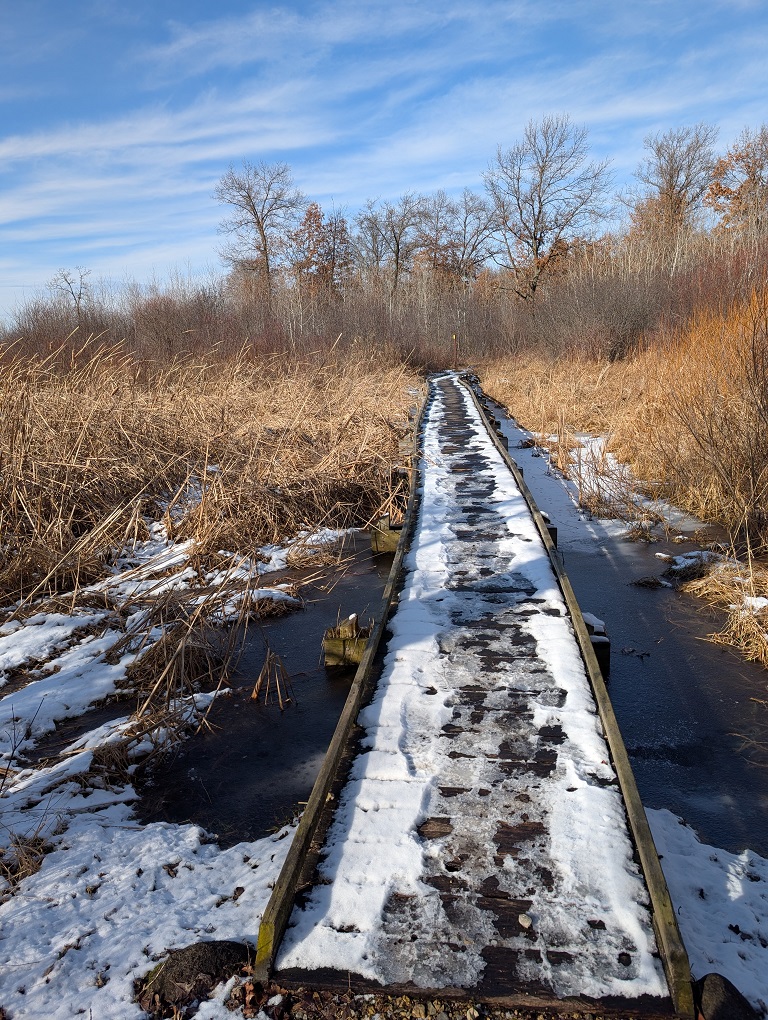 a low narrow bridge covered in a light layer of snow crosses a wetland area; high brown reeds grow all around; a line of trees grows in the distance; the sky is mostly clear with high wispy clouds