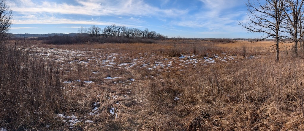 a field growing in prairie grass dominates the image; some trees grow to the right, and a row of mature oaks grow in the distance; the sky is mostly clear with some high wispy clouds