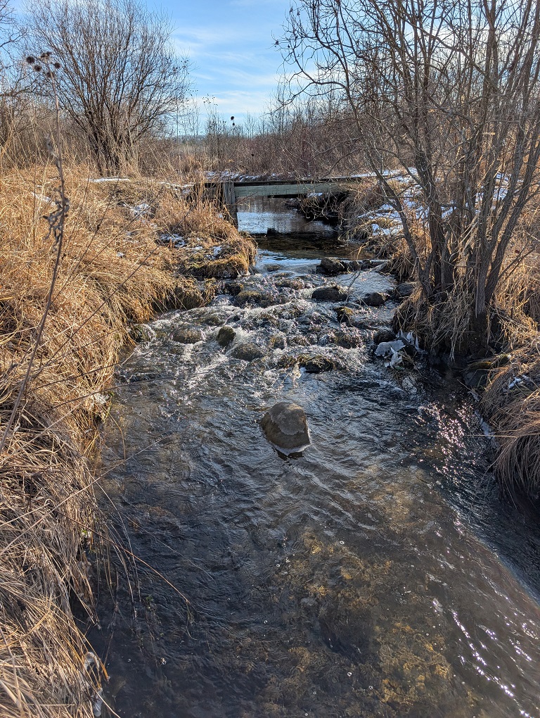 a narrow stream flows over a cluster of boulders; prairie grass grows along the left bank, a cluster of trees grows on the right; a low bridge crosses over the stream; the sky is mostly clear with some high wispy clouds