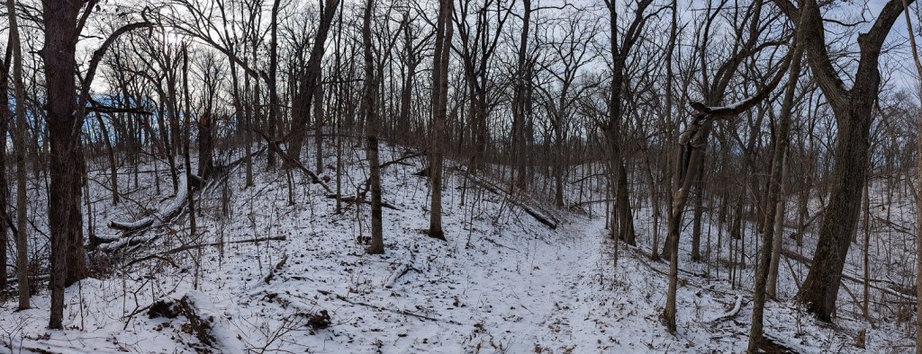 snow-covered hills in a wooded area; the trees are all leafless; the sky is mostly clear with some high thin clouds