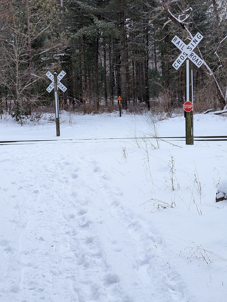 a snow-covered trail crosses a railroad; crossed sign posts mark the trail; tall green pine trees tower in the distance