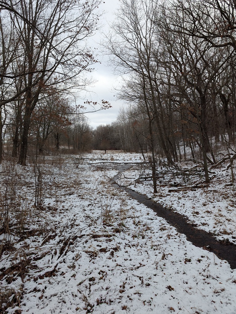 a small stream runs through the foreground of a marshy field; trees tower over the stream to the left and to the right; a light cover of snow is on the ground; the sky is overcast