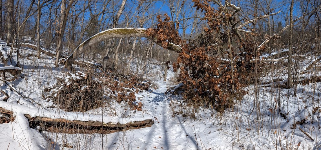 IAT Scuppernong Segment –&nbsp;02/04/2026