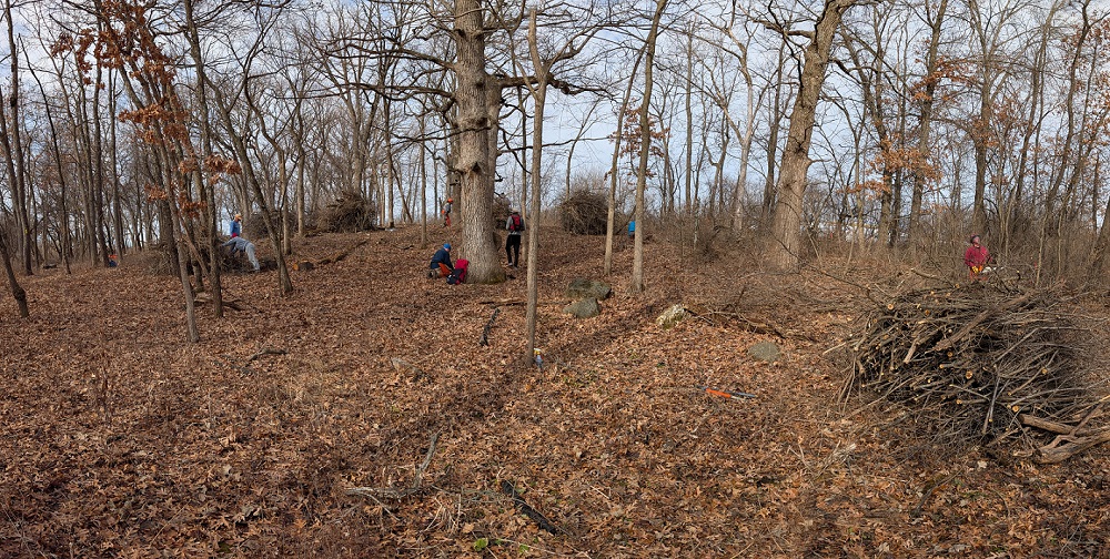 IAT University Ridge