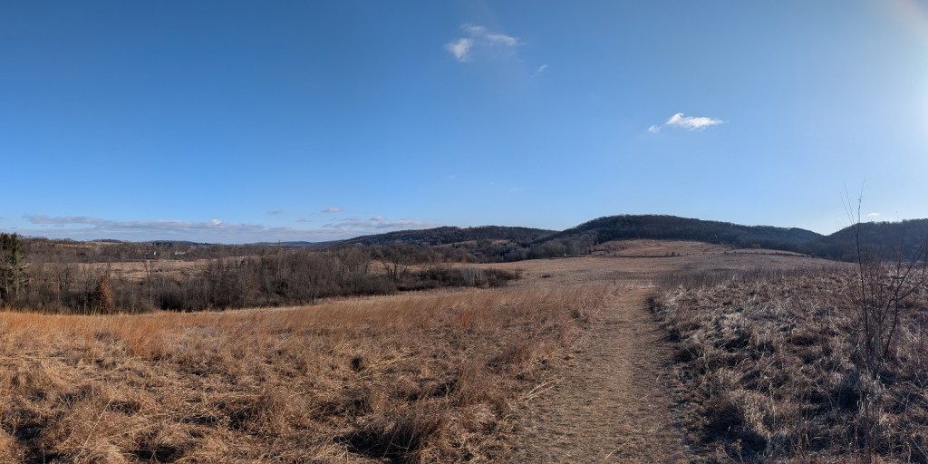 dry brown prairie grass lies close to the ground in most of the photo; a line of leafless brown trees grows to the left; the horizon is tree-covered hills; the sky is deep blue with a few wispy clouds