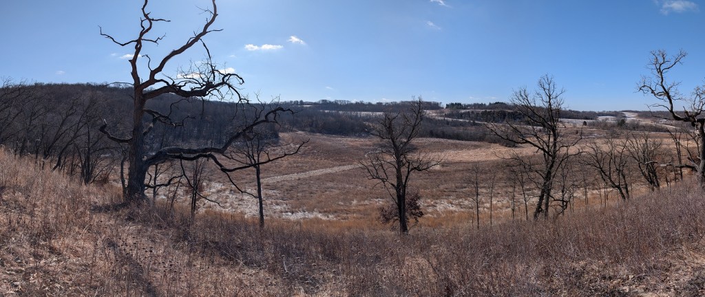 IAT – CLEANUP DAY! — 2/25/2026