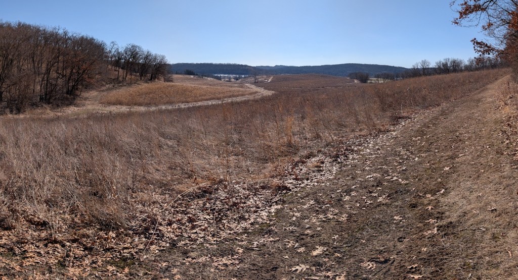 dry brown prairie grass grows in the foreground, middle ground, and background; tall leafless trees grow on a hill to the left; the sky is a clear deep blue