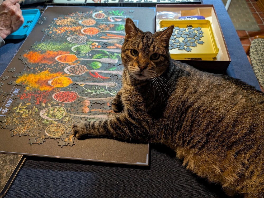 a puzzle to pass the time